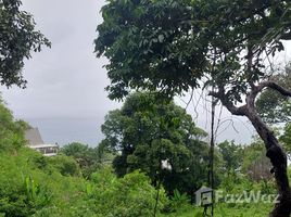  Grundstück zu verkaufen in Kathu, Phuket, Kamala