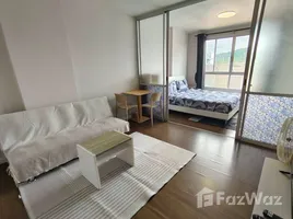 1 Bedroom Condo for rent at D Condo Creek, Kathu