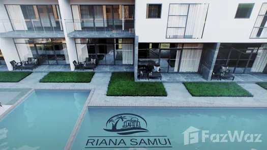 Fotos 1 of the Communal Pool at Riana Samui