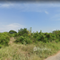  Land for sale in Phetchaburi, Thap Khang, Khao Yoi, Phetchaburi