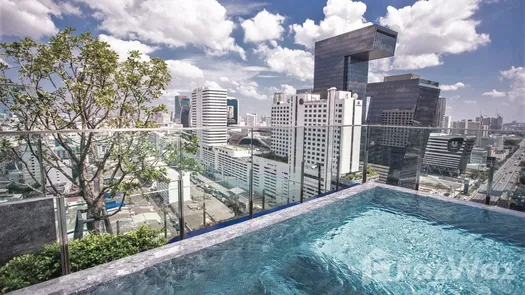 图片 1 of the Communal Pool at The Line Asoke - Ratchada