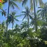  Land for sale in Bo Phut, Surat Thani, Bo Phut, Koh Samui