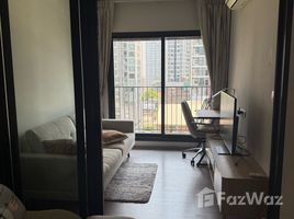 คอนโด 1 ห้องนอน ให้เช่า ในโครงการ ไลฟ์ อโศก ไฮป์, มักกะสัน