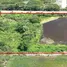 ขายที่ดิน ใน บ้านเกาะ, สมุทรสาคร, บ้านเกาะ, เมืองสมุทรสาคร, สมุทรสาคร, ไทย