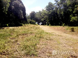  Terrain for sale in Rawai, Phuket Town, Rawai