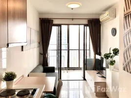 อพาร์ทเม้นท์ 1 ห้องนอน ให้เช่า ในโครงการ Ideo Mix Sukhumvit 103, บางนา, บางนา, กรุงเทพมหานคร
