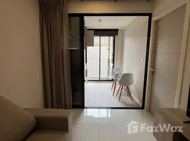 1 Bedroom Condo for rent at IKON Sukhumvit 77, Suan Luang, Suan Luang, Bangkok, Thailand