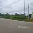  Grundstück zu verkaufen in Wang Phong, Hua Hin, Wang Phong, Pran Buri, Prachuap Khiri Khan, Thailand
