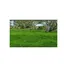  Land for sale in Pivijay, Magdalena, Pivijay, Magdalena, Colombia