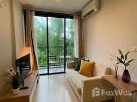 1 Bedroom Apartment for rent at Zcape X2, Choeng Thale, Thalang, Phuket, Thailand