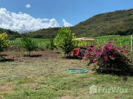  Terreno (Parcela) en venta en Bagua, Amazonas, Copallin, Bagua
