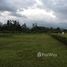  Land for sale in Limon, Pococi, Limon