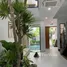 4 Schlafzimmer Villa zu vermieten in Khue My, Da Nang, Khue My