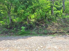  Terreno (Parcela) en venta en Costa Rica, Puntarenas, Puntarenas, Costa Rica