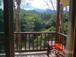 11 Bedrooms House for sale in Khlong Sok, Koh Samui Resort and House for Sale in Khao Sok National Park
