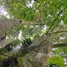  Terreno (Parcela) en venta en Costa Rica, San Rafael, Heredia, Costa Rica