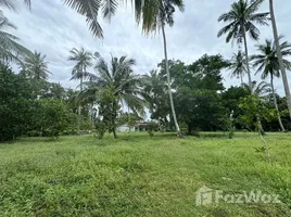  Grundstück zu verkaufen in Mai Khao, Phuket, Mai Khao, Thalang
