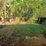 3 Schlafzimmer Haus zu vermieten im Jaco, Garabito, Puntarenas, Costa Rica
