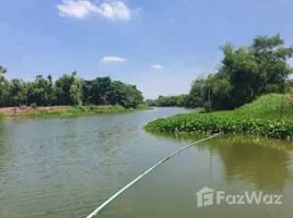 ขายที่ดิน ใน บ้านแหลม, สุพรรณบุรี, บ้านแหลม, บางปลาม้า, สุพรรณบุรี