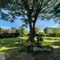 6 Schlafzimmer Villa zu verkaufen in San Klang, Chiang Mai, San Klang, San Pa Tong