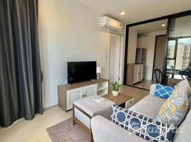 ขายคอนโด 1 ห้องนอน ในโครงการ เดอะ เบส เซ็นทรัล ภูเก็ต, วิชิต