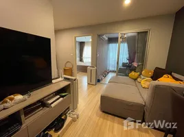 1 Schlafzimmer Wohnung zu verkaufen im Elio Del Moss, Sena Nikhom, Chatuchak, Bangkok, Thailand