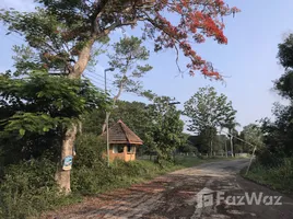  Land for sale in Thailand, Thung Samo, Khao Kho, Phetchabun, Thailand