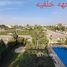 4 спален Вилла в аренду в Royal City, Sheikh Zayed Compounds, Sheikh Zayed City