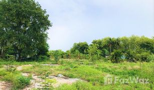 N/A Land for sale in Wang Dong, Kanchanaburi 