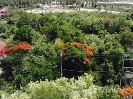  토지을(를) 태국에서 판매합니다., Bang Kao, 차암, Phetchaburi, 태국