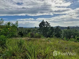 ขายที่ดิน ใน ลิปะน้อย, สุราษฎร์ธานี, ลิปะน้อย, เกาะสมุย