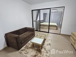 อพาร์ทเม้นท์ 1 ห้องนอน ให้เช่า ในโครงการ เพลิน เพลิน คอนโดมิเนียม รังสิต-ฟิวเจอร์พาร์ค, ประชาธิปัตย์