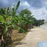  Land for sale in Nong Khwai, Chiang Mai, Nong Khwai