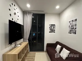 คอนโด 1 ห้องนอน ให้เช่า ในโครงการ โอกะ เฮาส์, คลองตัน