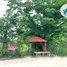  Land for sale in Ban Pathum, Pathum Thani, Ban Pathum
