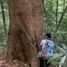  Terreno (Parcela) en venta en Padang Bolak, North Sumatera, Padang Bolak, Tapanuli Selatan, North Sumatera