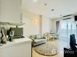 1 Bedroom Apartment for sale at One Plus 19 , Chang Khlan, Mueang Chiang Mai, Chiang Mai