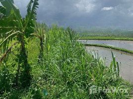  Land for sale in Badung, Bali, Canggu, Badung