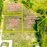  Land for sale in Phangnga, Lo Yung, Takua Thung, Phangnga