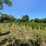  Land for sale at Puerto Plata, San Felipe De Puerto Plata, Puerto Plata, Dominican Republic