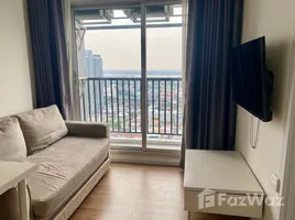 อพาร์ทเม้นท์ 1 ห้องนอน ให้เช่า ในโครงการ น็อตติ้ง ฮิลล์ สุขุมวิท - แพรกษา, ท้ายบ้านใหม่, เมืองสมุทรปราการ, สมุทรปราการ, ไทย