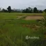  Land for sale in Mueang Mo, Phrae, Mueang Mo, Mueang Phrae, Phrae, Thailand