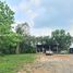 ขายที่ดิน ใน หนองใหญ่, พัทยา, หนองใหญ่, หนองใหญ่