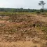  Land for sale in Nong Suea Chang, Nong Yai, Nong Suea Chang