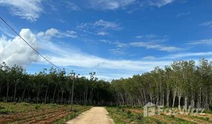 N/A Land for sale in Ban Na, Trang 