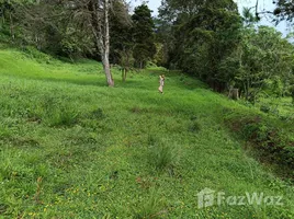 在Escazu, San Jose出售的 土地, Escazu