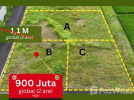  토지을(를) 인도네시아에서 판매합니다., Kediri, 타바 난, 발리, 인도네시아