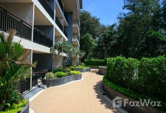 รูปถ่าย 2 of the Communal Garden Area at เดอะ ยูนิตี้ ป่าตอง