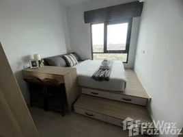 1 Bedroom Condo for rent at Altitude Unicorn Sathorn - Tha Phra, Talat Phlu, Thon Buri, Bangkok, Thailand