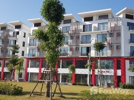4 Habitación Villa en venta en Long Bien, Hanoi, Gia Thuy, Long Bien
